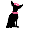 Chihuahua Princess with Crown