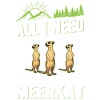 Erdmännchen Meerkat