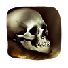 Skull for rockers