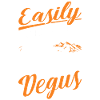 Easily distracted by Degus
