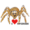 Spider, Halloween, Arachnophobia, Monster