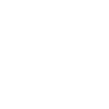 Foxterrier "Black Edition"