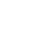 Beagle « Édition Noire »