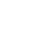 True North Compass