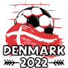 Denmark Denmark soccer Soccer 2022