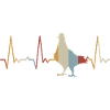Heartbeat Pigeon