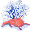 Moon Dreams Under Blue Tree
