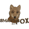 Fox smart fox smart as a fox