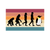 Penguin Human Animal Evolution