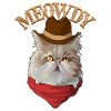 Cadeau de chat miaoulé