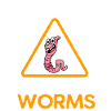 Compost Worms Gift