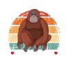 Orangutan