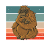 Orang-outan