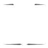 Vegan Crew