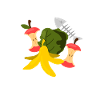 Compost Worms Gift
