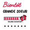 bientôt grande soeur cadeau naissance