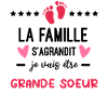 Annonce grossesse famille s'agrandit