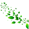 feuille