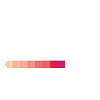 Future Mariée