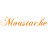 moustaches, Idée cadeau d'élégance.