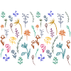 Flowers and Herbs