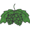 Hops