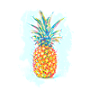 Pineapple Drawing