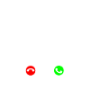 Anglais américain Coonhound