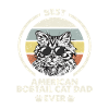 Papa chat - American Bobtail Katze