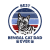 Papa chat - Bengal Katze