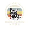 Papa chat - Bengal Katze