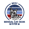 Maman chat - Chat Bengal