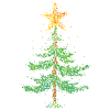 Weihnachtsbaum Christbaum Tannenbaum Stern