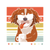 Beijing Coffee Sunglasses