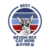 Maman chat - Devon Rex Chat