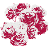 Roses shaded