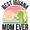 Iguana