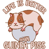 Guinea pig