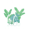 Plant lovers