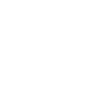 Bull skeleton