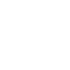 Tree Fir Forest