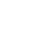Duck animal