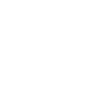 Magnifying glass icon