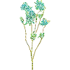 Shrub Plant - Mosaic Illustration