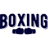 Boxsport Boxing