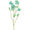 Arbuste - mosaïque illustration blanc