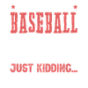 baseball sport