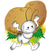 Albino ant with a potato