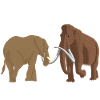 Elefant, mammut ulden mammut fra stenalderen