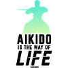 Aikido Sword Fighting Japan